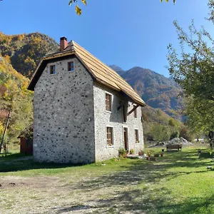 Rupa Albania